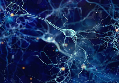 Neuron cells with brain activity